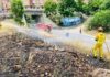 Incendios de pastos en Jaén