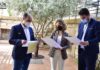 Olivar y Aceite retoma la cuarta edición de Rutas del Aceite