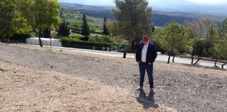 Úbeda mejora el entorno del Parque de la Avenida de la Constitución y regenera las zonas verdes