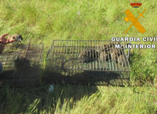 La Guardia Civil investiga a dos personas cazar especies silvestres en época de veda
