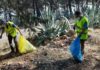 Voluntarios en la limpieza parajes Santa Catalina y El Neveral para concienciar sobre cuidado del entorno