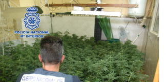 La Policía Nacional desmantela en Úbeda un punto negro de venta de drogas