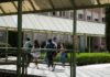 La UJA informa de 3 nuevos positivos de covid-19 en la última semana