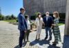 El Museo Ibero de Jaén será un nuevo punto de vacunación