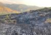 Incendio en Beas de Segura