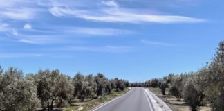 Fallece un varón en un accidente de tráfico ocurrido esta tarde en Úbeda
