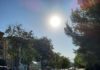 Riegos de refuerzo en las zonas verdes para garantizar la adecuada conservación del arbolado durante la época estival