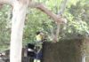 Continúan las labores de limpieza viaria y mantenimiento de parques y jardines en distintas zonas de la capital