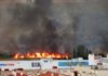 Aparatoso incendio de pastos junto al Jaén Plaza