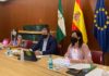 El Gobierno andaluz insta a la colaboración de todos para que la campaña de recogida de la aceituna en Jaén siga siendo segura