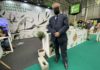 La Universidad de Jaén mostró en Expoliva 2021 soluciones frente a la erosión producida en el olivar