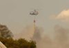 Fallece un bombero forestal durante las labores de extinción del incendio de Sierra Bermeja