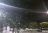 Emergencias 112 registra más de 150 incidencias por el viento en toda Andalucía