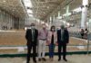 Ifeja acoge el XXXI Campeonato de Andalucía de Caballos de Pura Raza Española