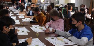 Cata de aceite para formar a escolares de Úbeda