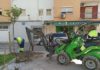 El Ayuntamiento retoma plantación de arbolado y reposición en 80 calles