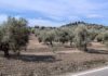 El MITECO otorga 1,59 millones de euros para un proyecto singular de generación de biometano en la provincia
