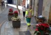 El Ayuntamiento anima la Navidad de los jiennenses con más de 3.000 pascueros y plantas ornamentales para el disfrute de vecinos y visitantes