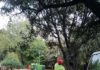 El gobierno local destaca el esfuerzo por recuperar el parque del botánico