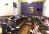 El Ayuntamiento impulsa la creación de la Mesa del Árbol de Jaén, un órgano de expertos y de participación ciudadana