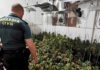 La Guardia Civil ha detenido a dos personas en Chilluévar y Granada como presuntas autoras de una plantación de Marihuana