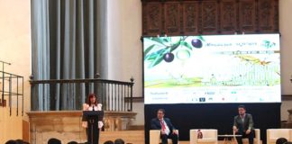 IV Congreso de maestros operarios de almazaras