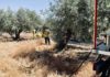 Incendio de pastos en el Bulevar