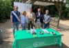 Jornada “Vía Verde del Aceite, espacio sin humo», iniciativa de la Diputación, en colaboración con la Asociación Española contra el Cáncer