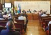 Diputación aprobará un Plan de Empleo Extraordinario de 10 millones para paliar la reducción de jornales en la aceituna