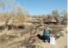 La Guardia Civil ha detenido a un vecino de Alcaudete como presunto autor de diez delitos de incendios en olivares