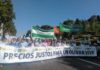 El sector agrario vuelve a sacar los tractores a la calle ante el desorbitado incremento de los costes de producción