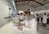 El Ayuntamiento de Jaén destaca la alta empleabilidad tras los cursos del IMEFE