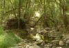 Inversión de la Confederación Hidrográfica del Guadalquivir para la conservación y mejora de los cauces de la provincia