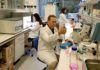 Investigadores de la Universidad de Jaén sustituyen con éxito colorantes artificiales por compuestos naturales en diferentes bebidas