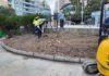 Trabajos de arreglo y reposición jardines plaza Constitución