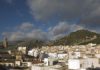 Jaén acoge la próxima semana los actos que el Consejo Oleícola Internacional celebra anualmente