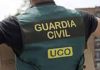 La UCO busca con georradar pistas del temporero desaparecido en Villacarrillo