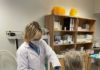 Salud volverá a vacunar sin cita contra la gripe a los niños de 6 a 59 meses el 3 de enero