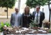 Celebrada en Úbeda XXX edición de la Exposición de Hongos y Setas de Jaén