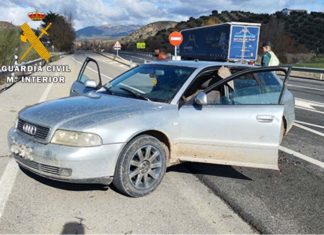 La Guardia Civil investiga a trece personas, como presuntas autoras de hurto de aceituna