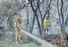 Incendio de la ribera en el río Jaén