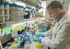 Estudian posibles biomarcadores implicados en procesos cancerígenos