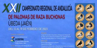 XXII Campeonato Regional de Andalucía de Palomas