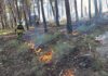 Medio Ambiente realiza una quema prescrita en El Neveral