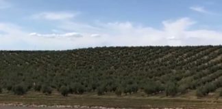 La ministra de Ciencia visita el centro Atlas de Villacarrillo