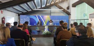 Evolución y crecimiento de la oferta de oleoturismo en la provincia durante la última década