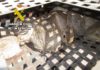 La Guardia Civil está investigando a los dos presuntos autores de un Delito Contra la Flora y Fauna Silvestre