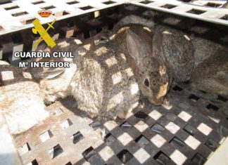 La Guardia Civil está investigando a los dos presuntos autores de un Delito Contra la Flora y Fauna Silvestre