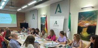 La Delegación de Salud y Familias celebra la Comisión provincial de Violencia de Género
