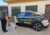 Investigan a un vecino de Martos como presunto autor de una simulación de delito